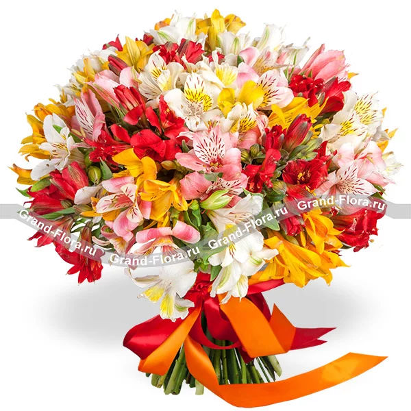 Маленький Принц - букет из разноцветной альстромерии (акционное предложение)